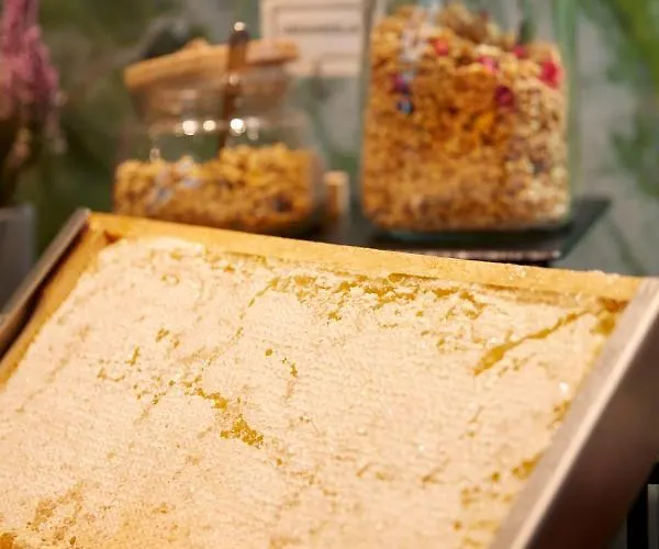 Q Wroclaw Bielany Hotel Bielany Wrocławskie